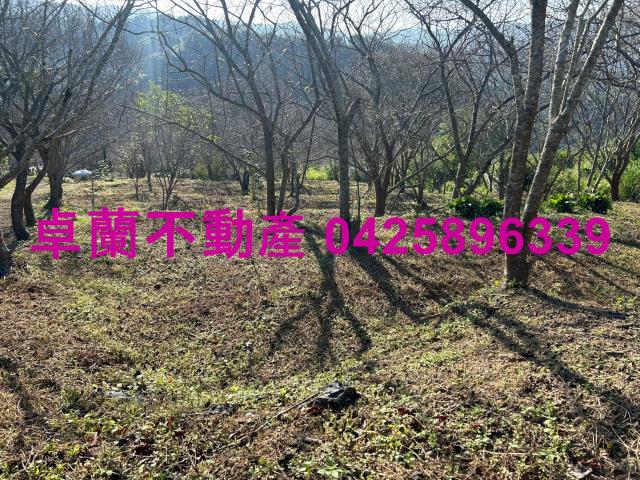 苗栗卓蘭農地-3