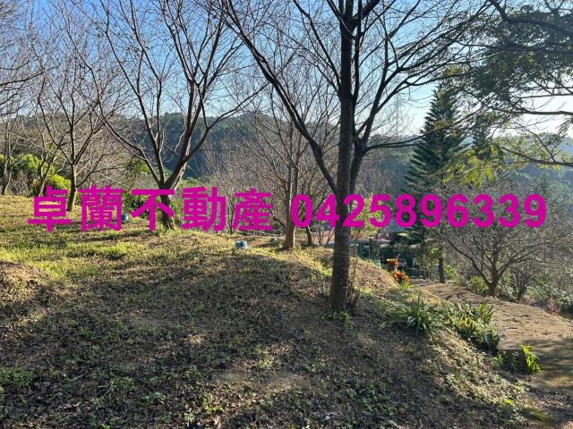 苗栗卓蘭農地-6