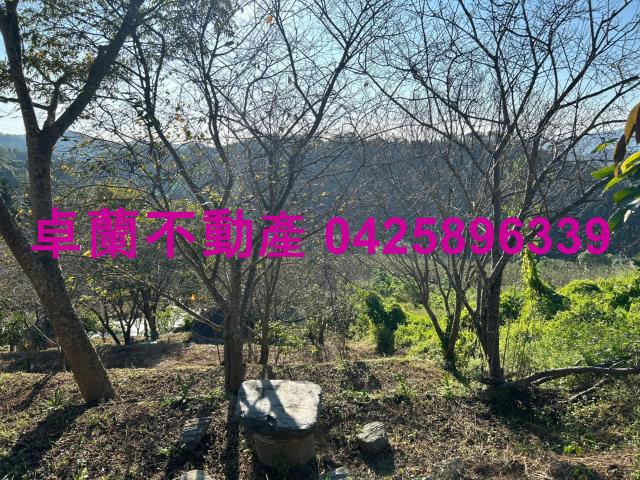 苗栗卓蘭農地-3