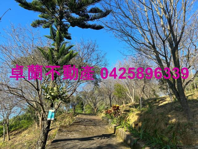 苗栗卓蘭農地-6