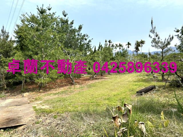 苗栗卓蘭農地-12