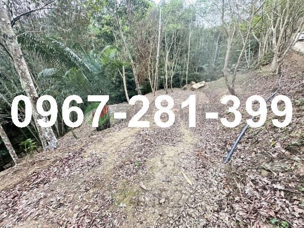 苗栗南庄農地-9