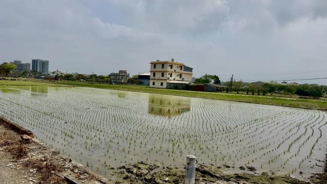 新竹竹北農地-8