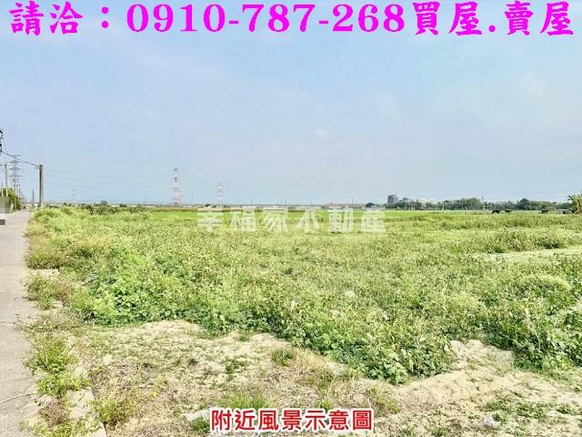 台南善化農地-10