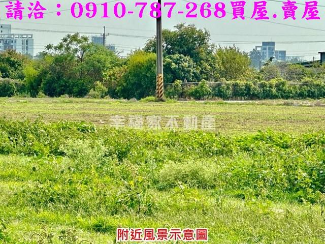 台南善化農地-5