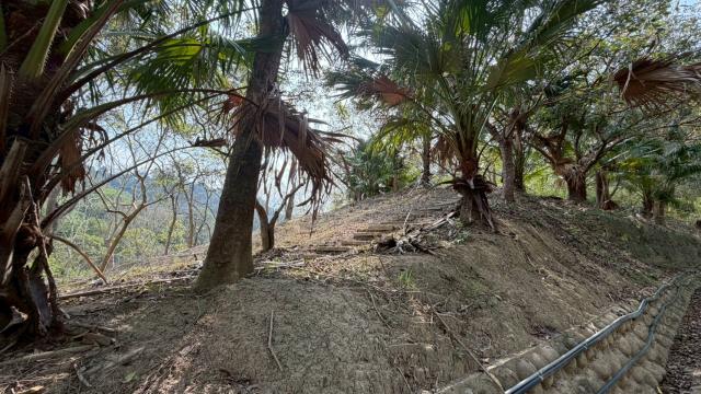 新竹北埔農地-11