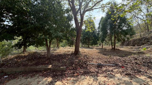 新竹北埔農地-3