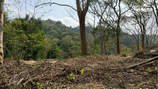 新竹北埔農地-9