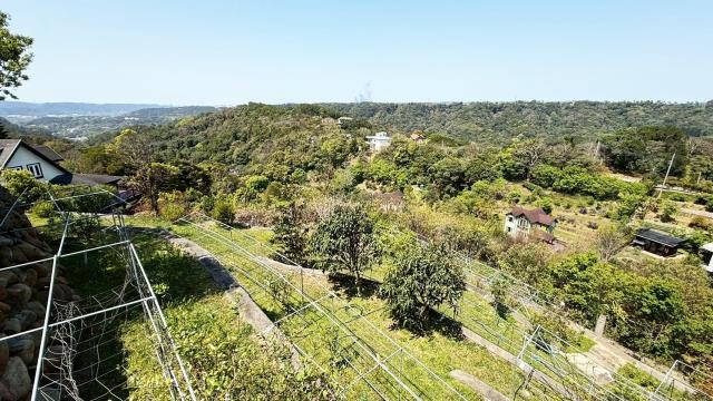 新竹關西農地-15