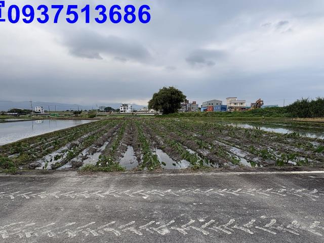 宜蘭五結農地-2