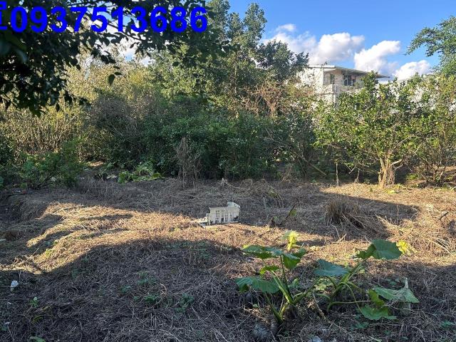 宜蘭員山農地-3