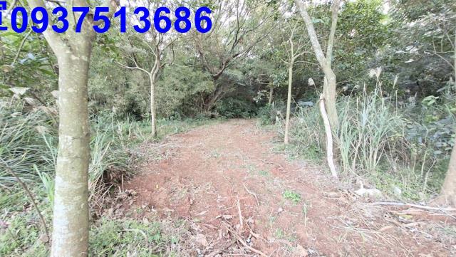 新北林口農地-9