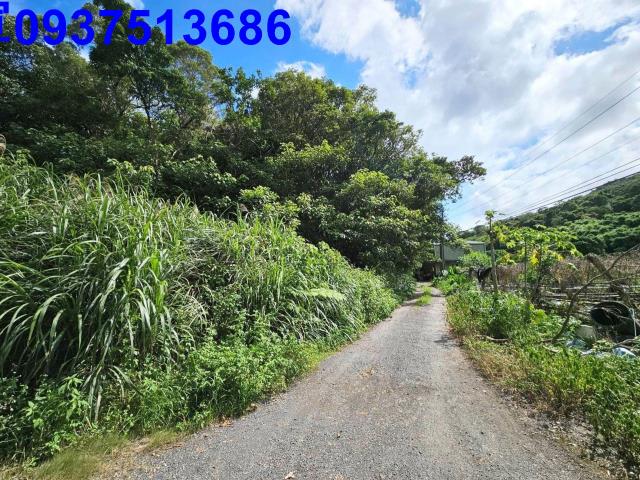 宜蘭頭城山坡地-15