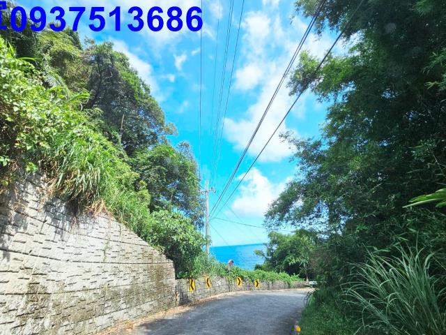 宜蘭頭城山坡地-2