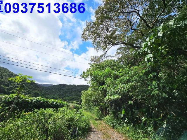 宜蘭頭城山坡地-8