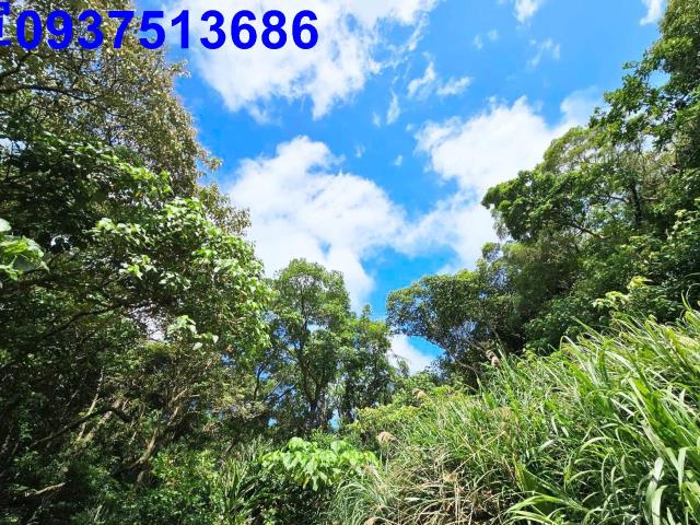 宜蘭頭城山坡地-9