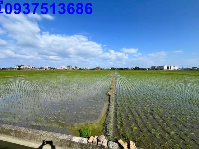 宜蘭礁溪農地-4