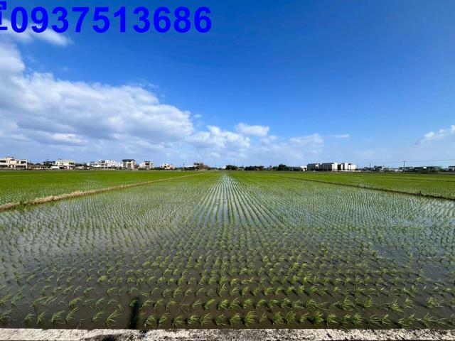 宜蘭礁溪農地-6