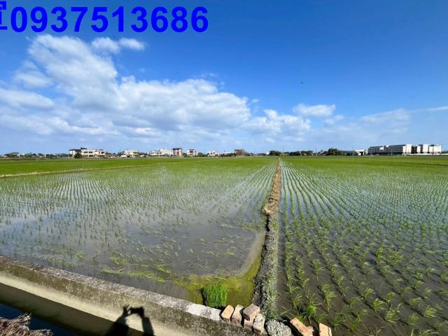 宜蘭礁溪農地-8