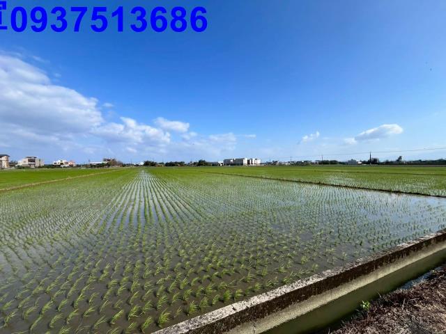 宜蘭礁溪農地-9