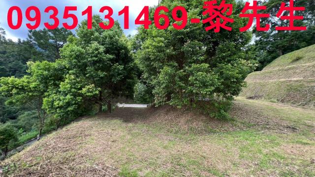 新竹北埔農地-4