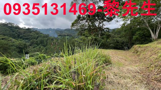 新竹北埔農地-5