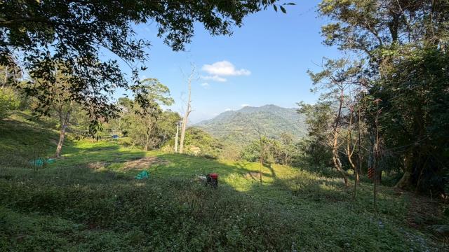 新竹北埔農地-12