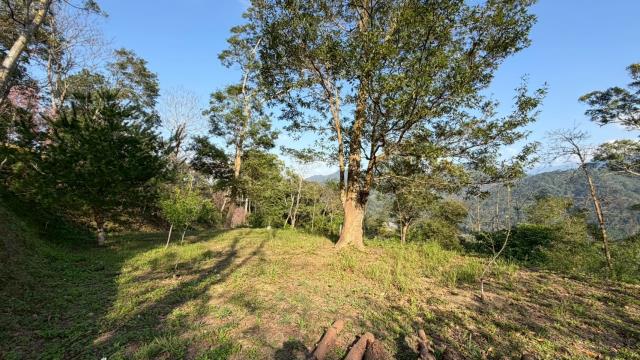 新竹北埔農地-9