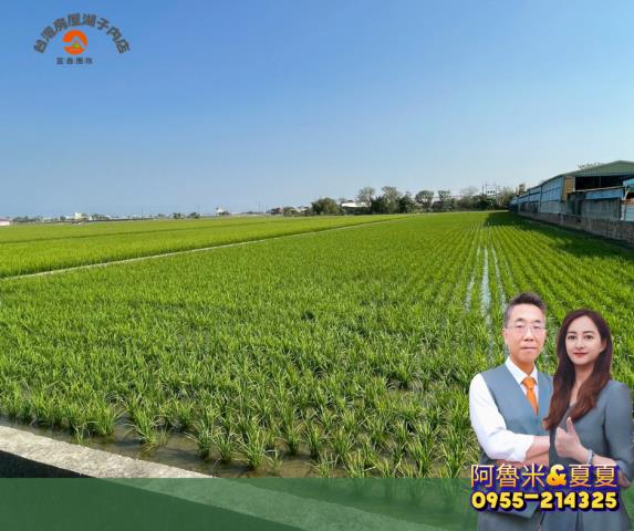 嘉義新港農地-6