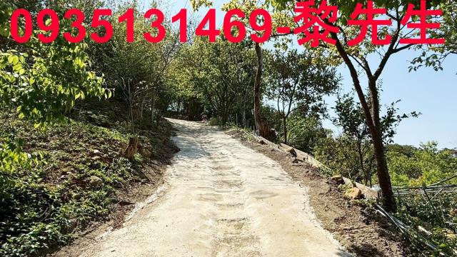 新竹關西農地-4