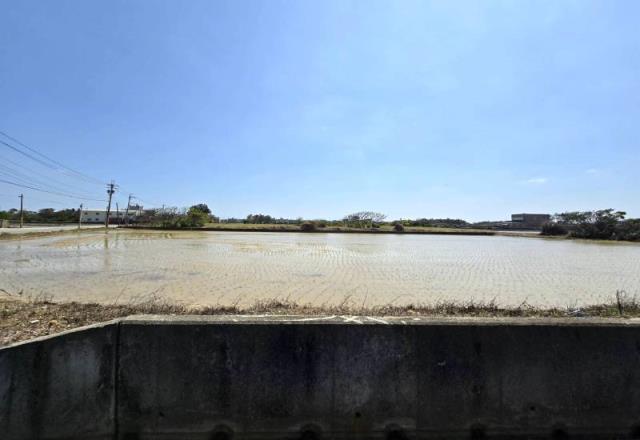 桃園觀音農地-5