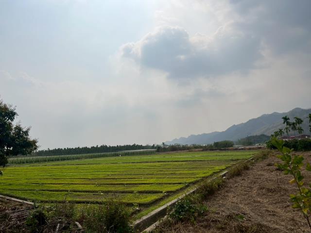 高雄美濃農地-14