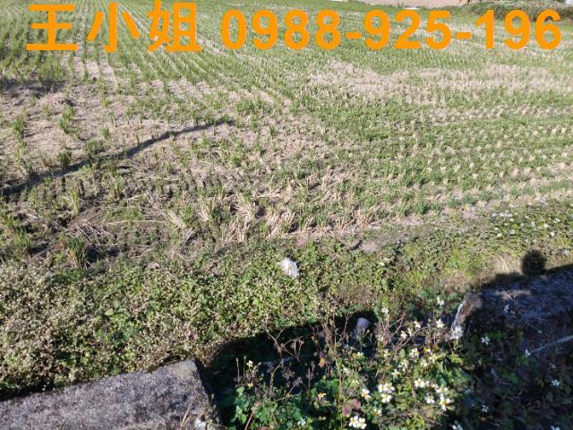 桃園大溪農地-5