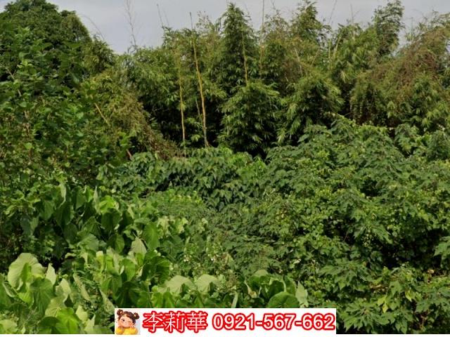 台南下營建地-7