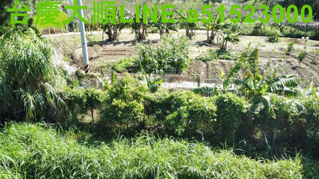 新竹農地-15