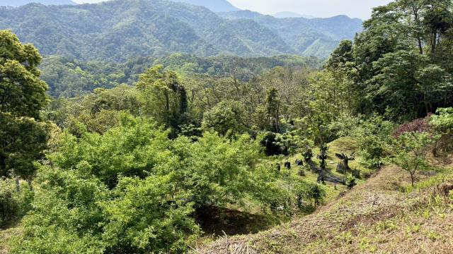 新竹北埔農地-3