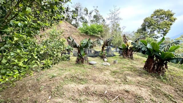 新竹北埔農地-7