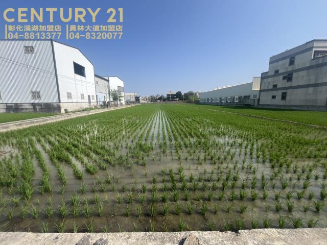 彰化埔鹽農地-2