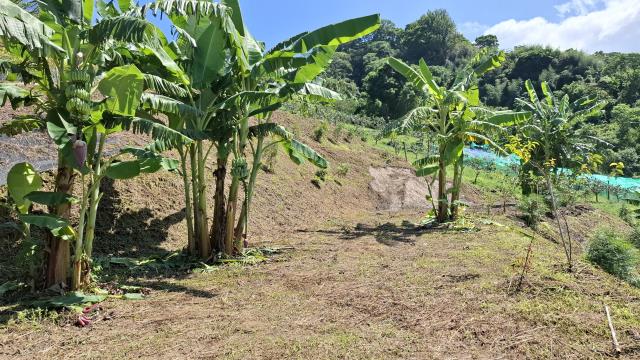 台中東勢農地-3