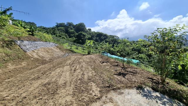 台中東勢農地-5