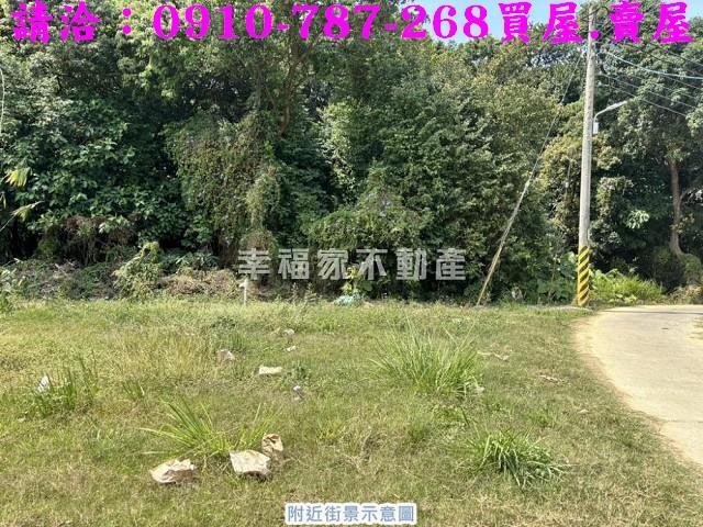 台南關廟農地-5