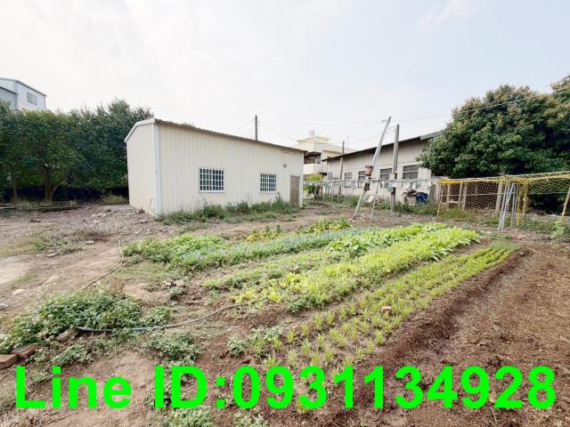 台中后里建地-2