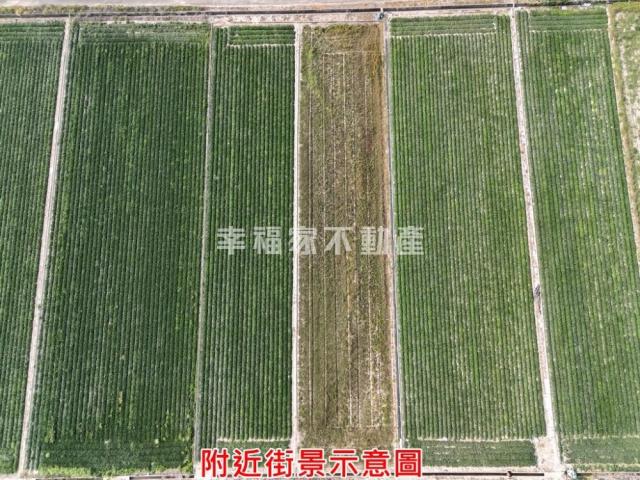 台南新化農地-11