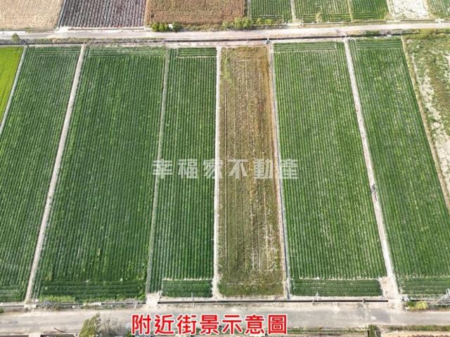 台南新化農地-2