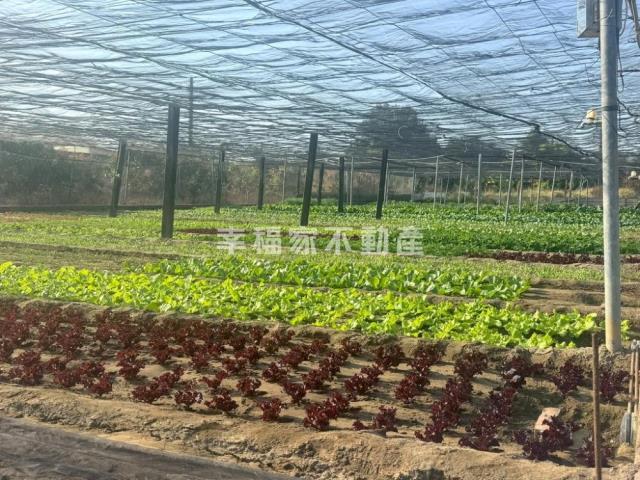 台南南區農地-2