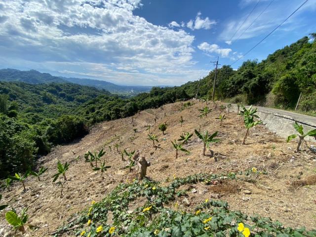 南投農地-1