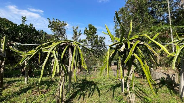 新竹峨眉農地-3