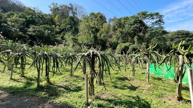 新竹峨眉農地-6