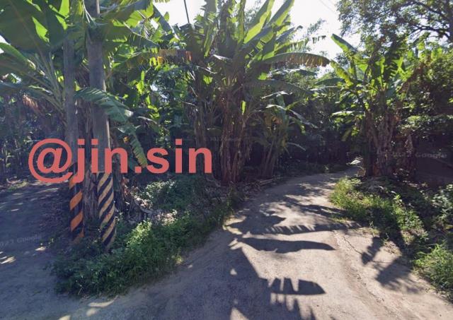 台南左鎮農地-1