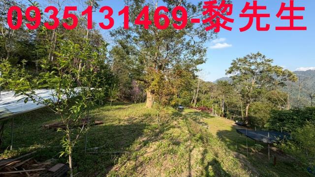 新竹北埔農地-8